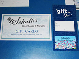 Schulte's Gift Cards